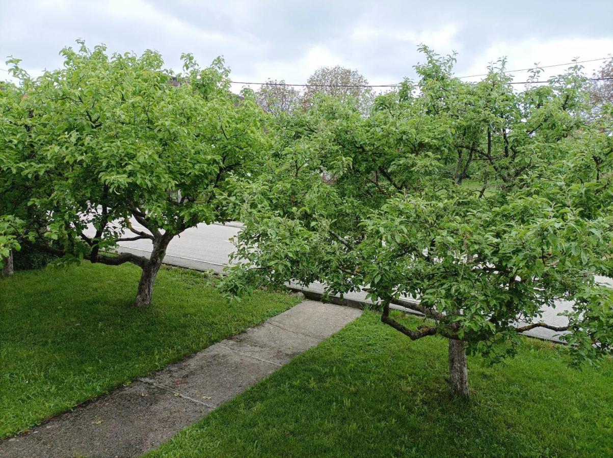 Apartman Gospić Exterior foto